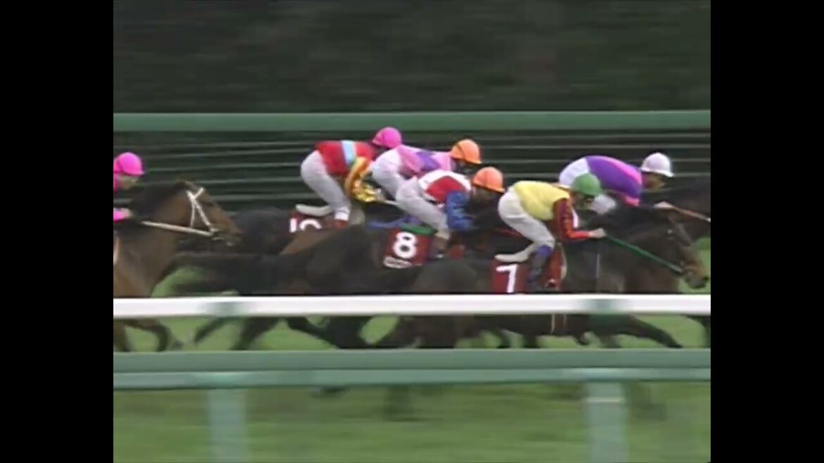 ウイニングチケット 1993年 第30回報知杯弥生賞(GII) (優勝馬：ウイニングチケット)