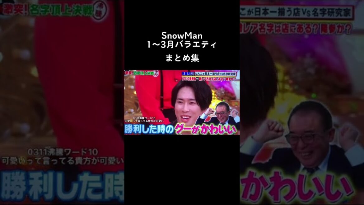 SnowManまじで面白い。#SnowMan#岩本照#深澤辰哉 #渡辺翔太#宮舘涼太#佐久間大介#阿部亮平#向井康二#目黒蓮#ラウール