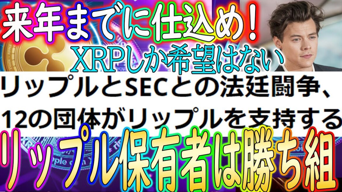 【リップル来年に確定上昇！】裁判に進展！12もの団体が擁護【仮想通貨/暗号資産】【XRP】