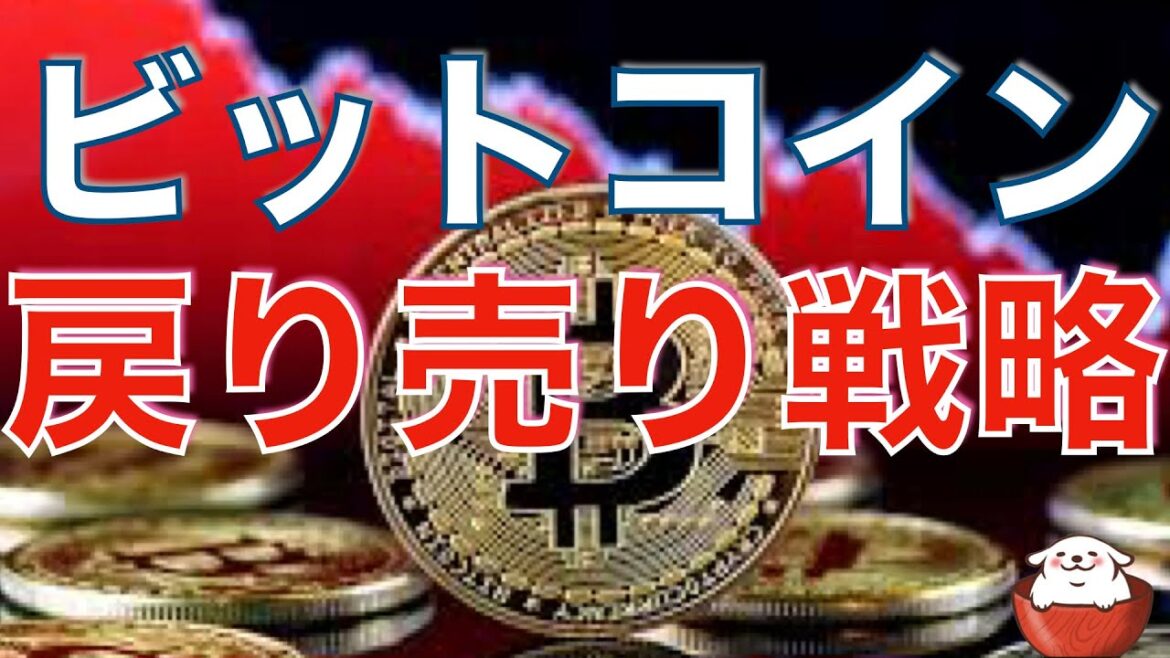 【仮想通貨 ビットコイン】逆張り戦略をする時 この3つを意識しないと危険です（朝活配信922日目 毎日相場をチェックするだけで勝率アップ）【暗号資産 Crypto】