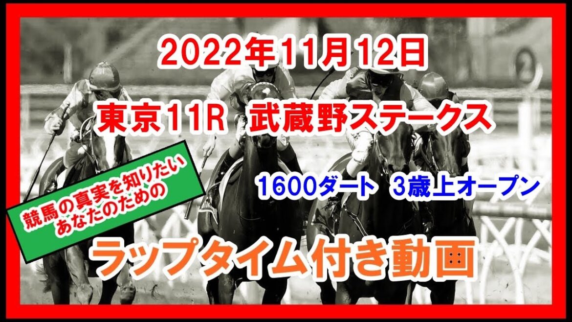武蔵野ステークス ギルデッドミラー 2022年11月12日 東京 11R 1600ダート 3歳上オープン  ラップタイム付き動画