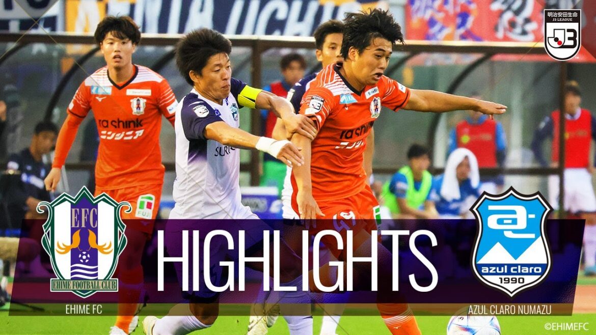 【公式】ハイライト：愛媛ＦＣvsアスルクラロ沼津 明治安田生命Ｊ３リーグ 第33節 2022/11/12