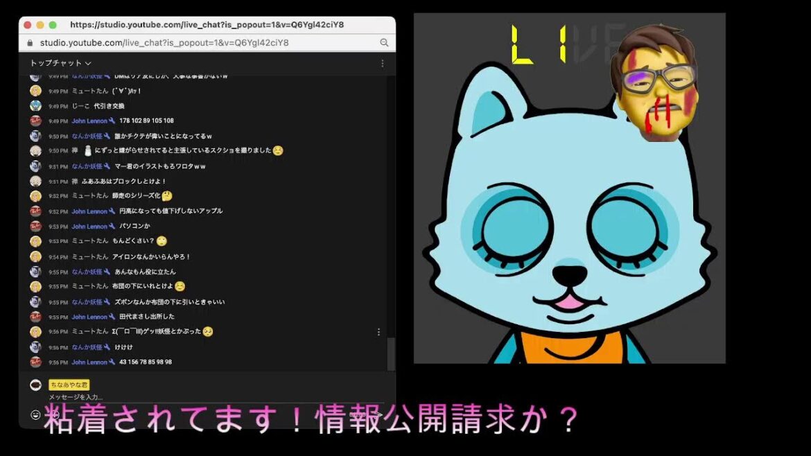 【元バレボール選手の大山加奈さん】これで安全が確保できるのか？！国民主権党より参政党より！だって集金人が壊滅！