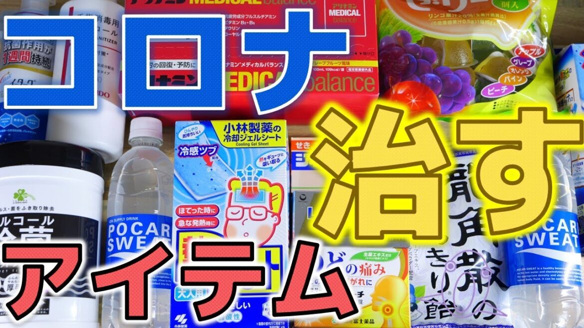 新型コロナウイルスに感染しました。自宅で治した方法を解説してみた！【ふぶきテトラ】