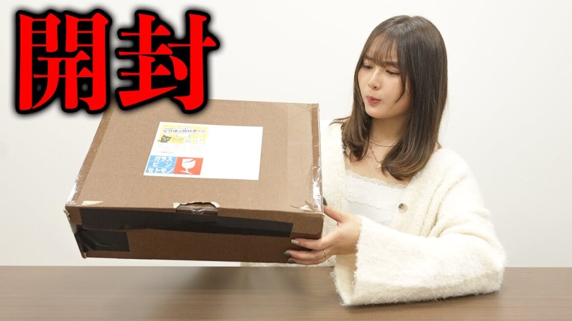 謎の荷物が届きました。