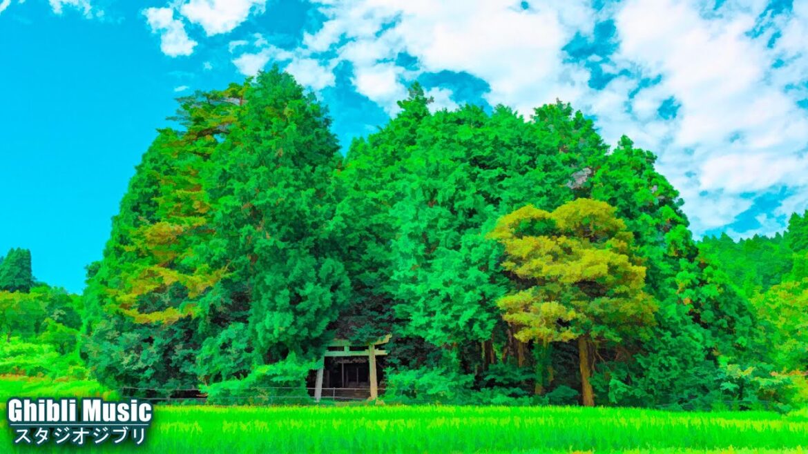 【BGM Studio Ghibli Piano 🍂 ジブリスタジオからの4時間のリラックス音楽 🎹 Studio Ghibli【作業用、勉強、睡眠用BGM】千と千尋の神隠し, ゲド戦記, ものの