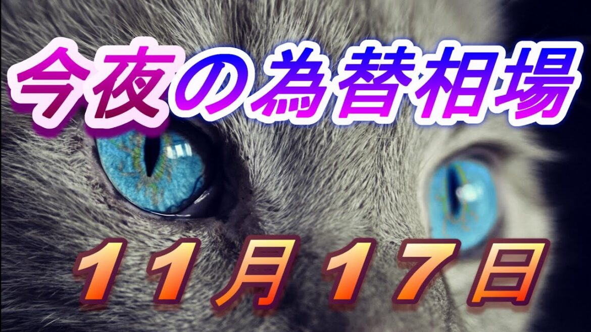 【TAKA FX】ドル、円、ユーロ、ポンド、豪ドルの為替相場の前日の動きをチャートから解説。11月17日