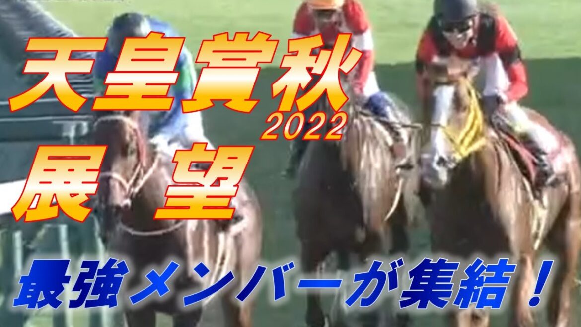 天皇賞秋2022　展望　イクイノックス、ジャックドール、ジオグリフ等、最強メンバーが集結！！　元馬術選手のコラム【競馬】