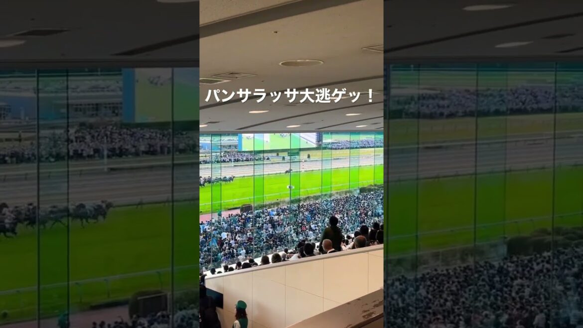パンサラッサ！大逃げダッー！#shorts #パンサラッサ #天皇賞秋