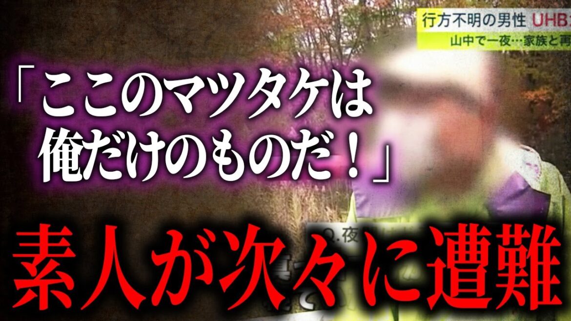 「キノコ狩りは慣れてるからね」山を舐めて遭難