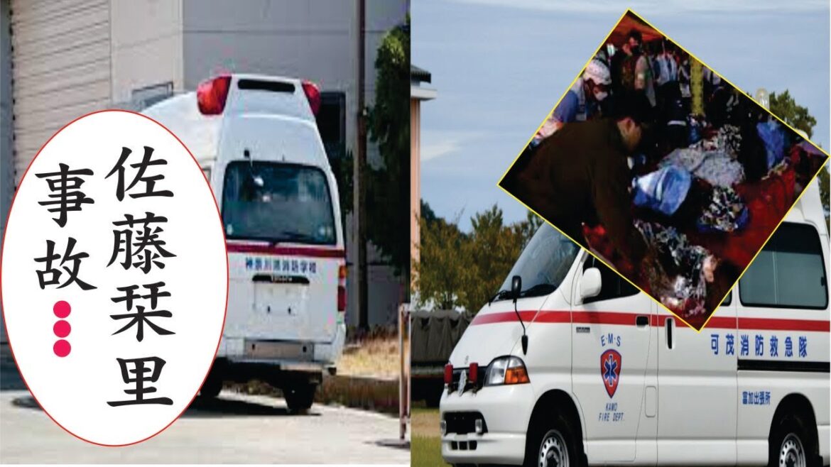 佐藤栞里、現在の生活が衝撃すぎた…