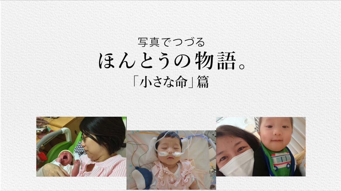 小田和正さんの楽曲にのせて、写真でつづるエピソード／＃３「小さな命」篇