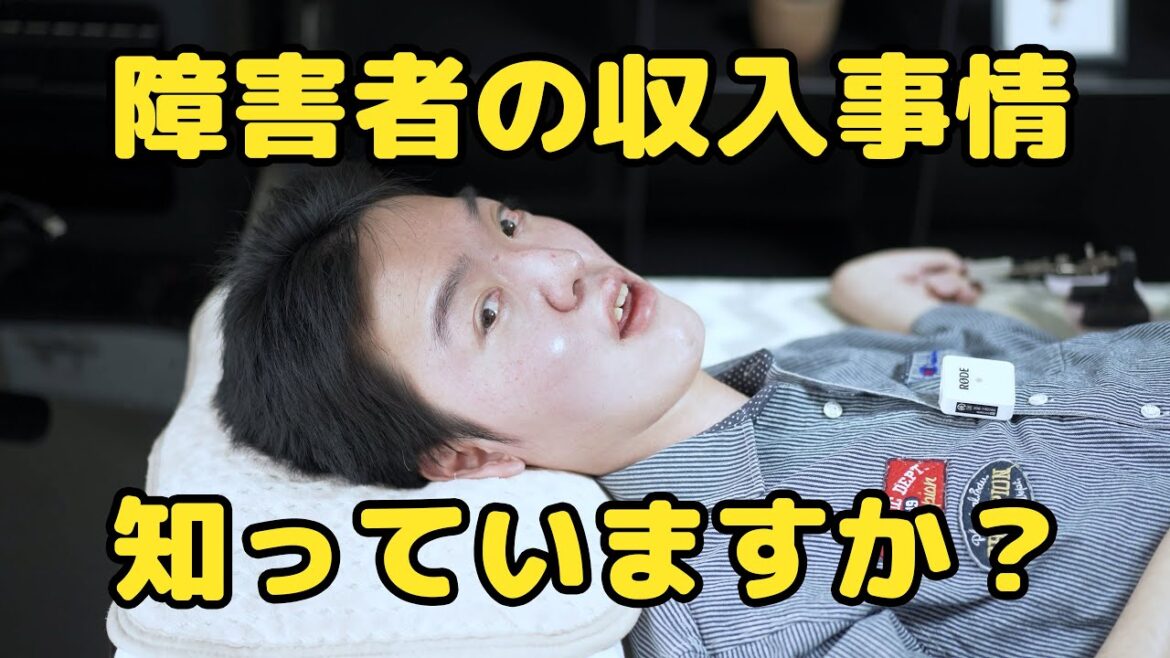 【意外と知らない】障害者ってどのくらい稼げるの？／ひさむちゃん寝る