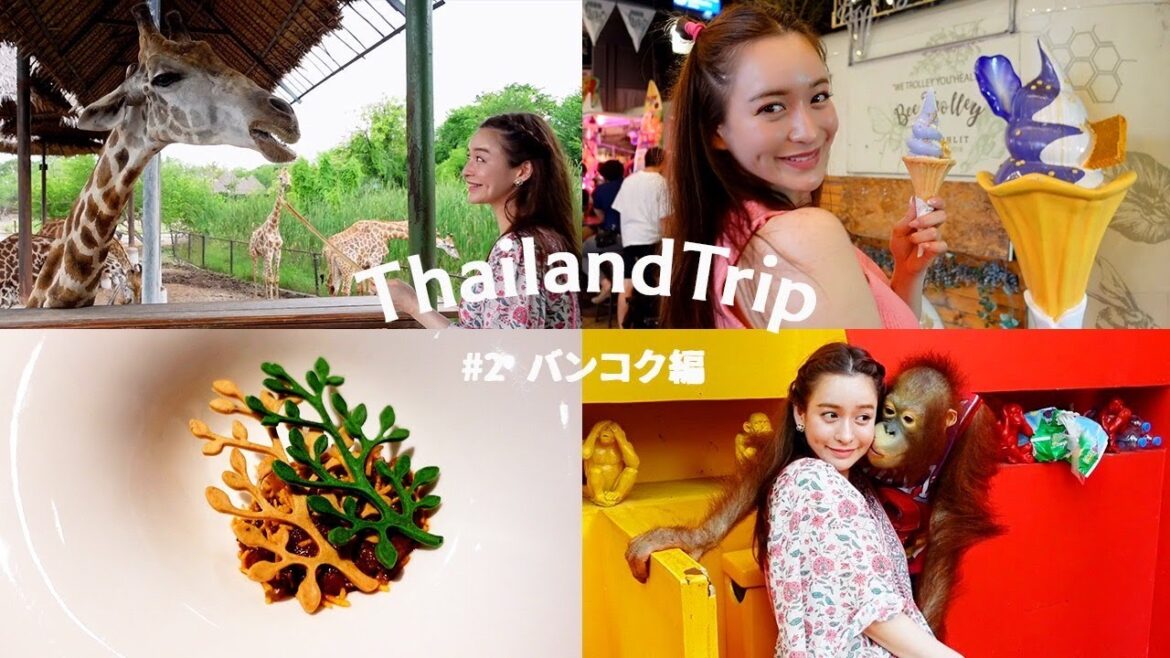 【海外vlog】タイ旅行に行ってきたよ🇹🇭❤️#2 バンコク編。ナイトマーケット | サファリワールド | ミシュラン星付きレストラン🍷