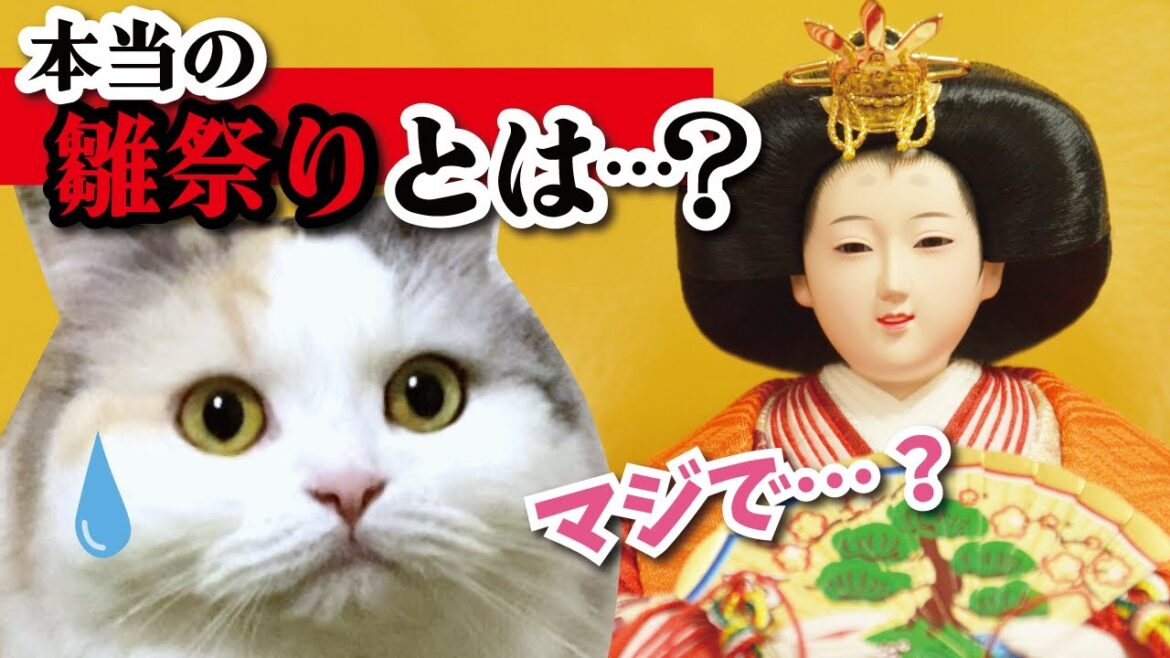 みなさま、ひな祭りの由来をご存知でしょうか…？【おしゃべりする猫】