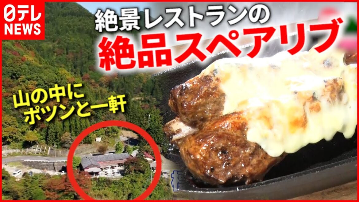 【遠くても行きたい!】秩父&南房総!山の中の人気レストラン『every.特集』 【遠くても行きたい!】秩父&南房総!山の中の人気レストラン『every.特集』