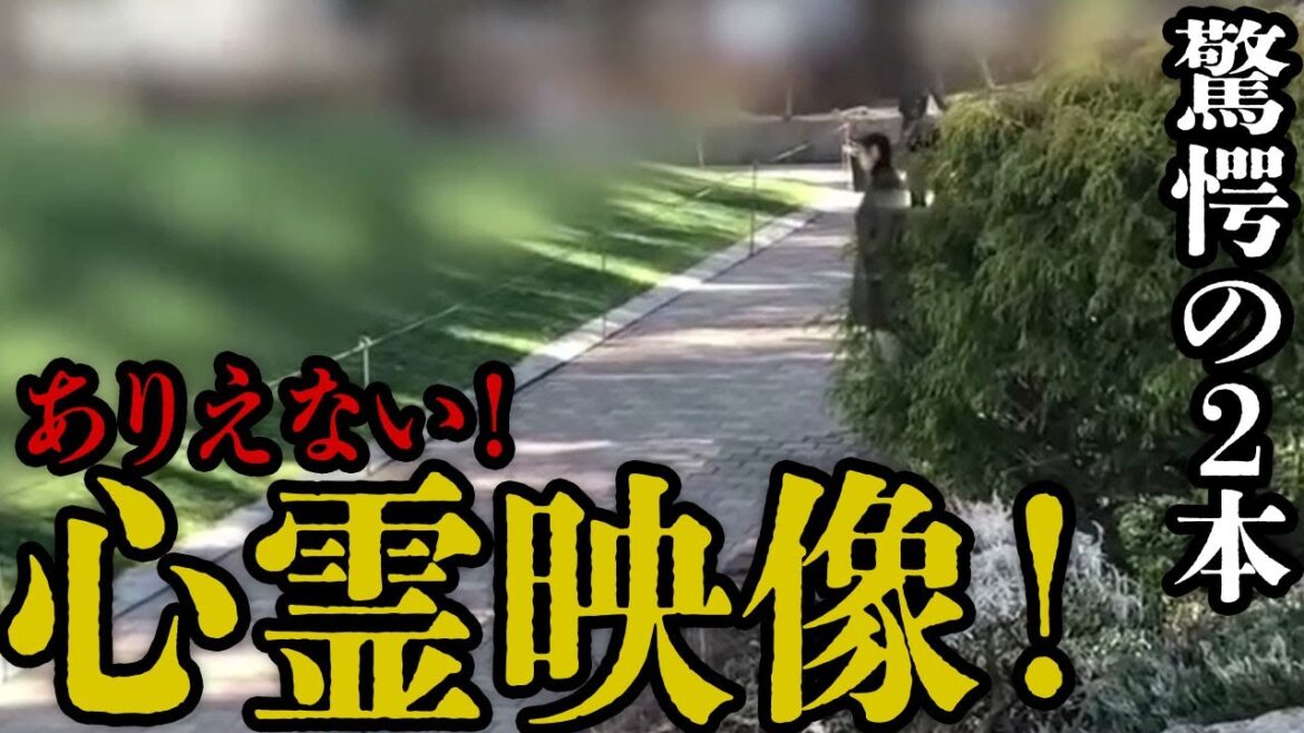 【期間限定先行配信】ありえない!心霊映像!驚愕の2本! 【期間限定先行配信】ありえない!心霊映像!驚愕の2本!