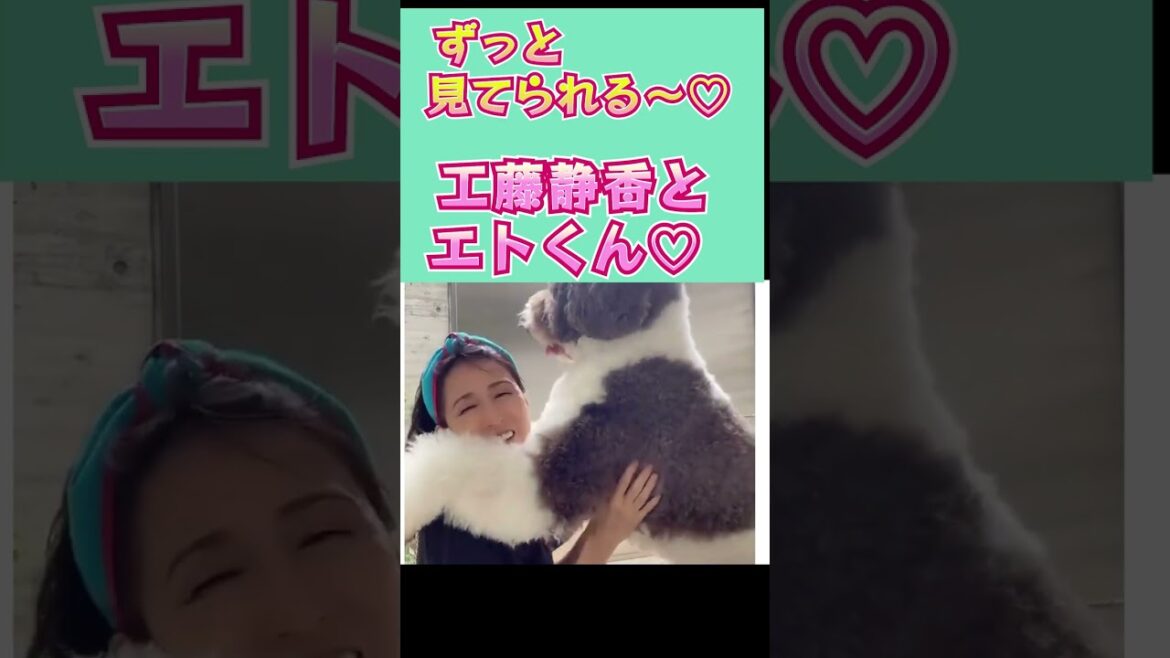 【工藤静香】-　工藤静香と愛犬のエトくん♡  #shorts