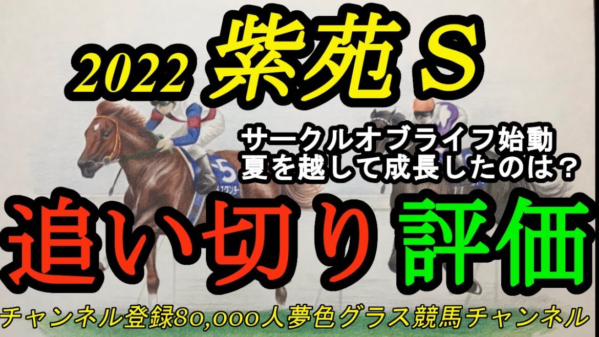 【追い切り評価】2022紫苑ステークス全頭！サークルオブライフ始動で動きは？夏を越して良くなってきた実力馬は？