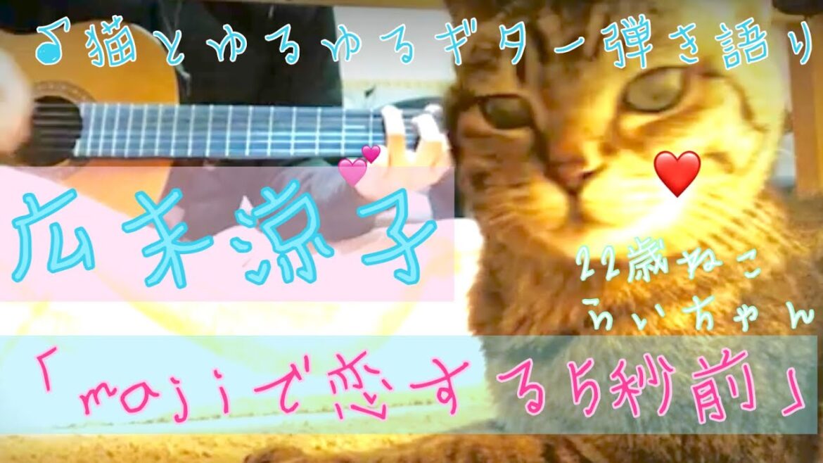 【Majiで恋する5秒前】広末涼子　ゆるゆる弾き語りカバー　ねことともに