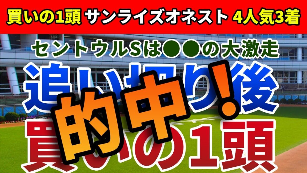 セントウルステークス2022 追い切り後【買いの1頭】公開！セントウルSはジャングロ回避で大混戦？スタート五分で着内鉄板の一頭を発表！