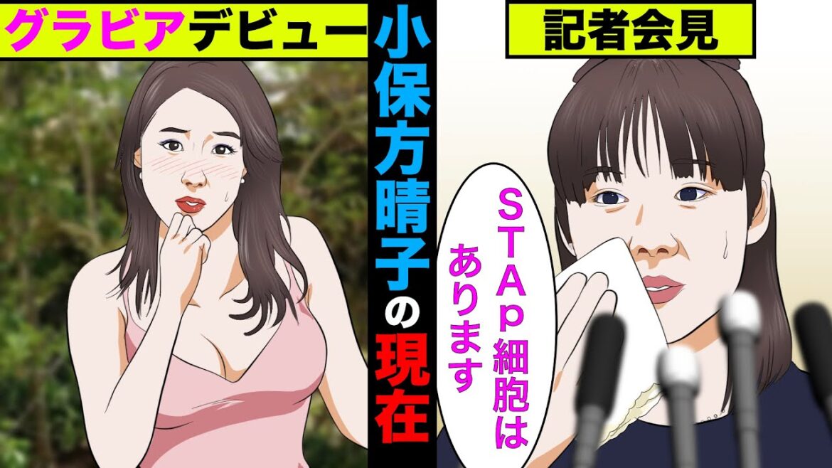 【実話】小保方晴子の現在！その美貌を活かして「まさかの作品」にも出してた！【アニメ】【ゆっくり解説】