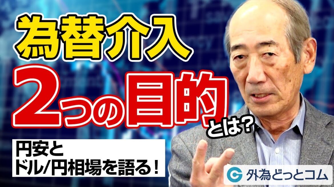 FX/為替「為替介入2つの目的とは？円安とドル/円相場を語る！」【酒匂隆雄の週刊独り言】2022/10/31