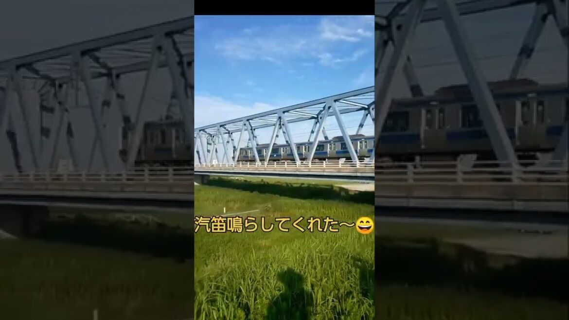 JR常磐線汽笛鳴らしてくれた～#shorts #常磐線#電車