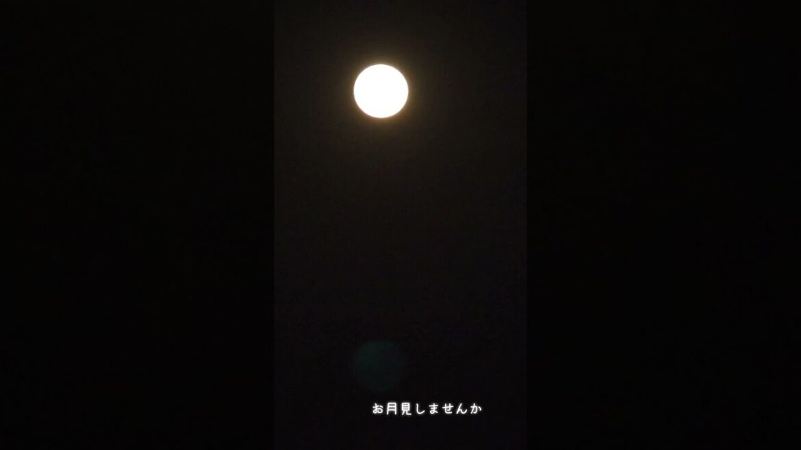 #shorts #vlog 【petit maison】- 中秋の名月を撮る -