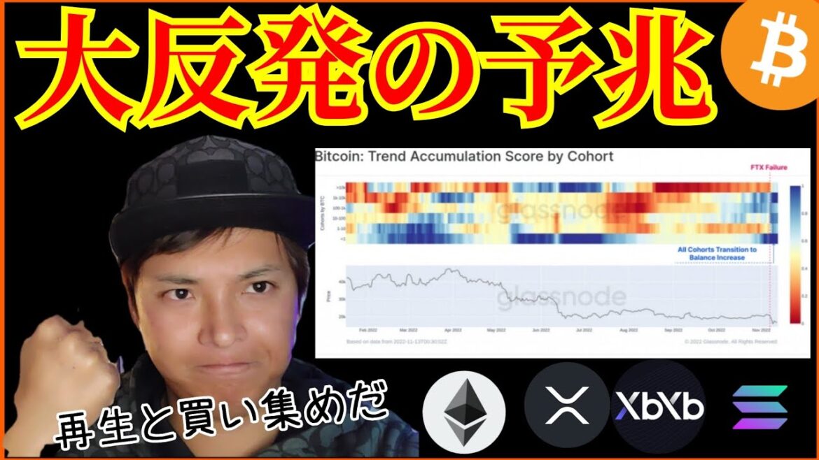 【大反発の予兆】仮想通貨危機の裏で再生と買い集め✨+ビットコイン ETH XRP DYDX SOL チャート分析 【大反発の予兆】仮想通貨危機の裏で再生と買い集め✨+ビットコイン ETH XRP DYDX SOL チャート分析