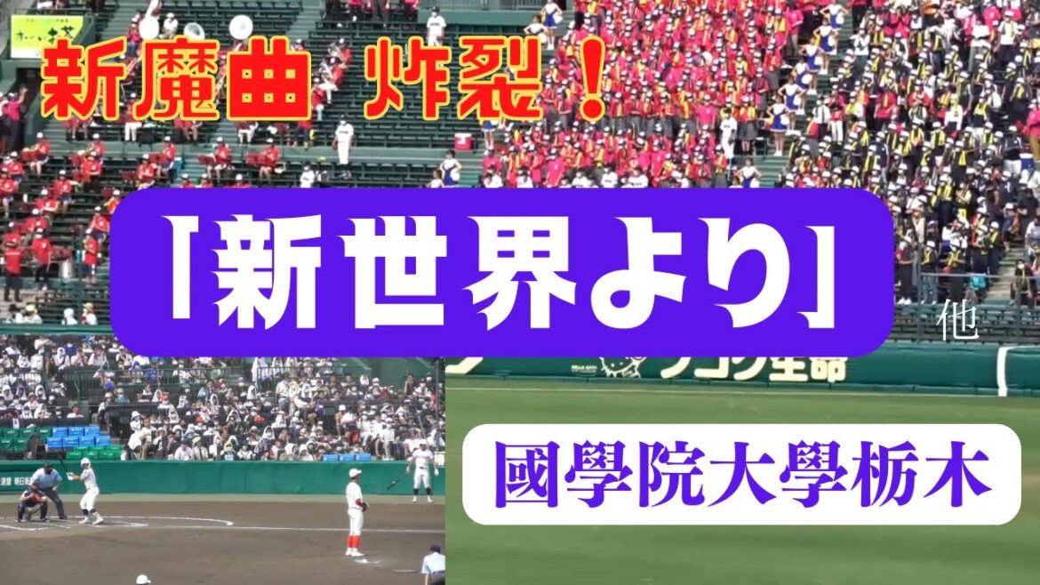 【新魔曲】国学院栃木メドレー「新世界より」「モンキーターン」 国学院栃木の応援歌メドレー（新世界より モンキーターン エビカニクス）