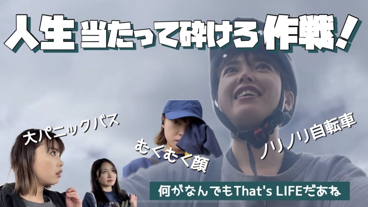 【留学生目線のNZ交通事情】人生当たって砕けろ！ってゆーかやらなきゃ覚えないからとりあえず動いてみるタイプ。