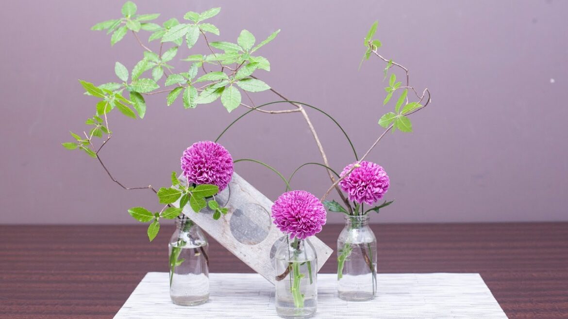 【重陽の節句】ピンポンマムで菊遊び