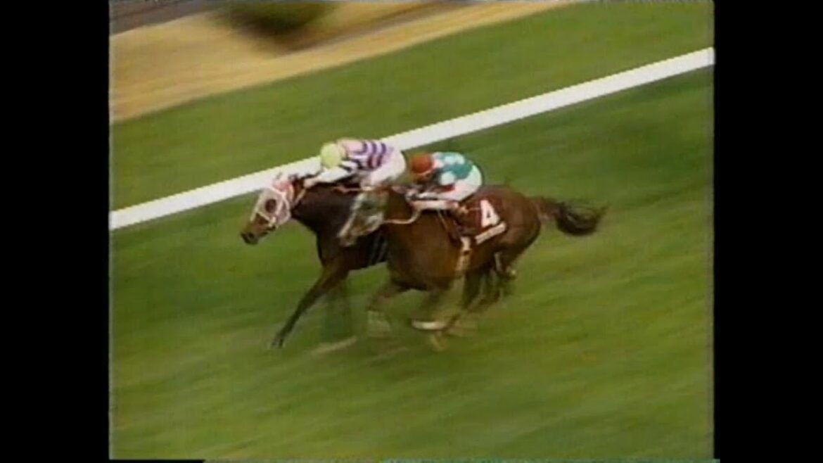 エガオヲミセテ 1999年(平成11年)第30回読売マイラーズカップ(G2)