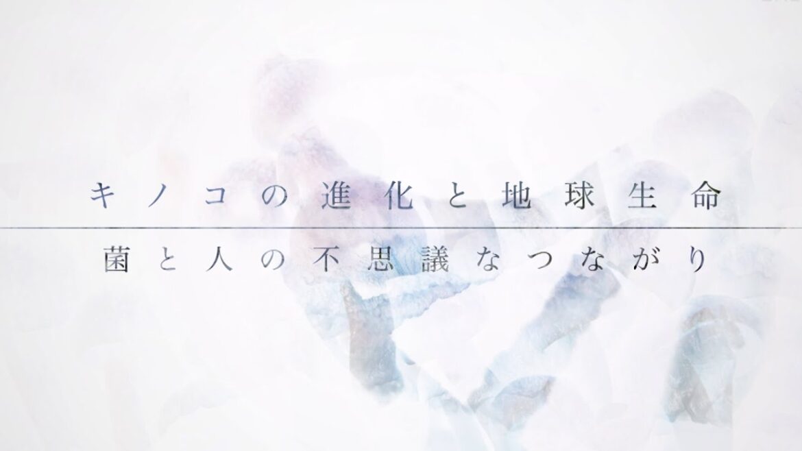 キノコの進化と地球生命 菌と人の不思議なつながり | ガリレオX第220回 キノコの進化と地球生命 菌と人の不思議なつながり | ガリレオX第220回