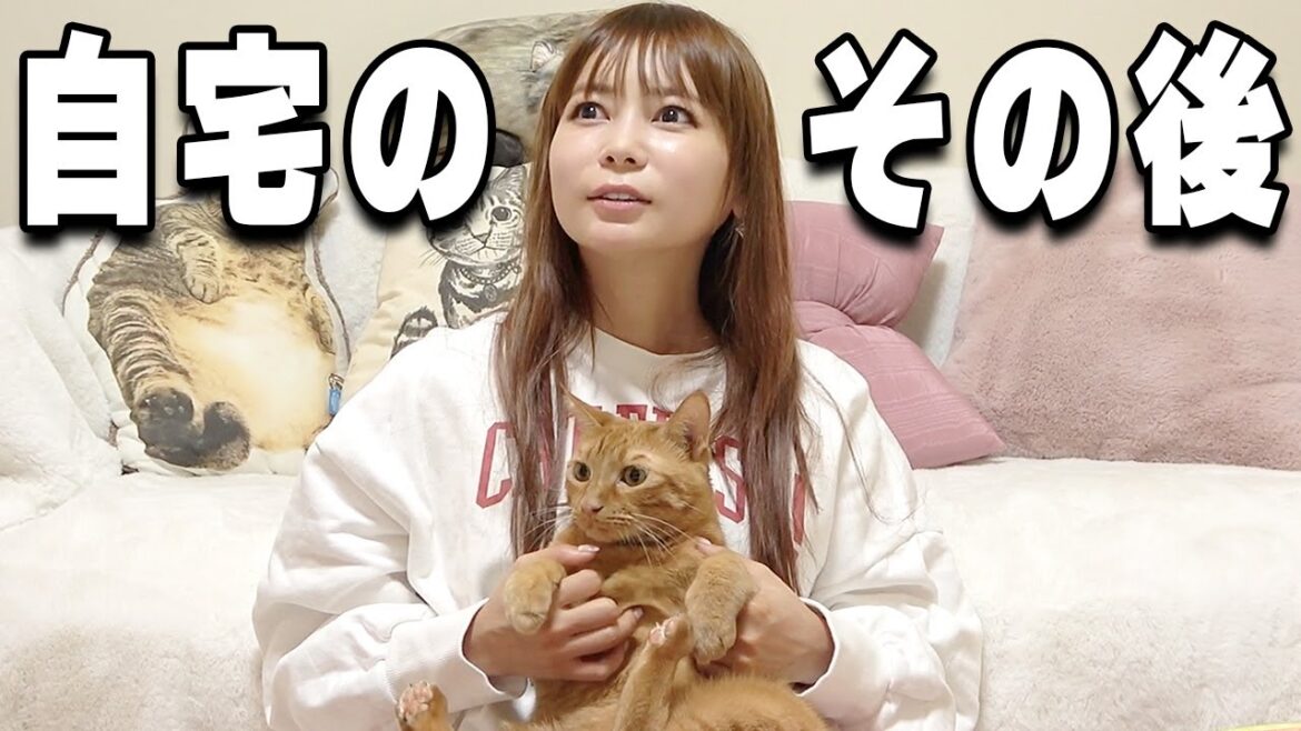 水没した自宅のその後をお話します。 水没した自宅のその後をお話します。