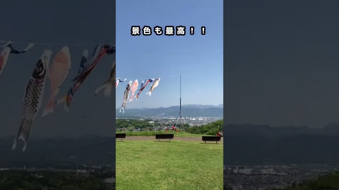 【こどもの日(5月5日)】こどもに見せたいこいのぼり！(神奈川県立おだわら諏訪の原公園) #shorts