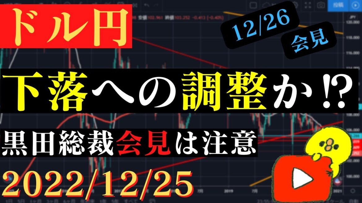 【ドル円】更なる下落への調整か⁉引き続き戻りを待ちたい。🐥2022/12/25🐥