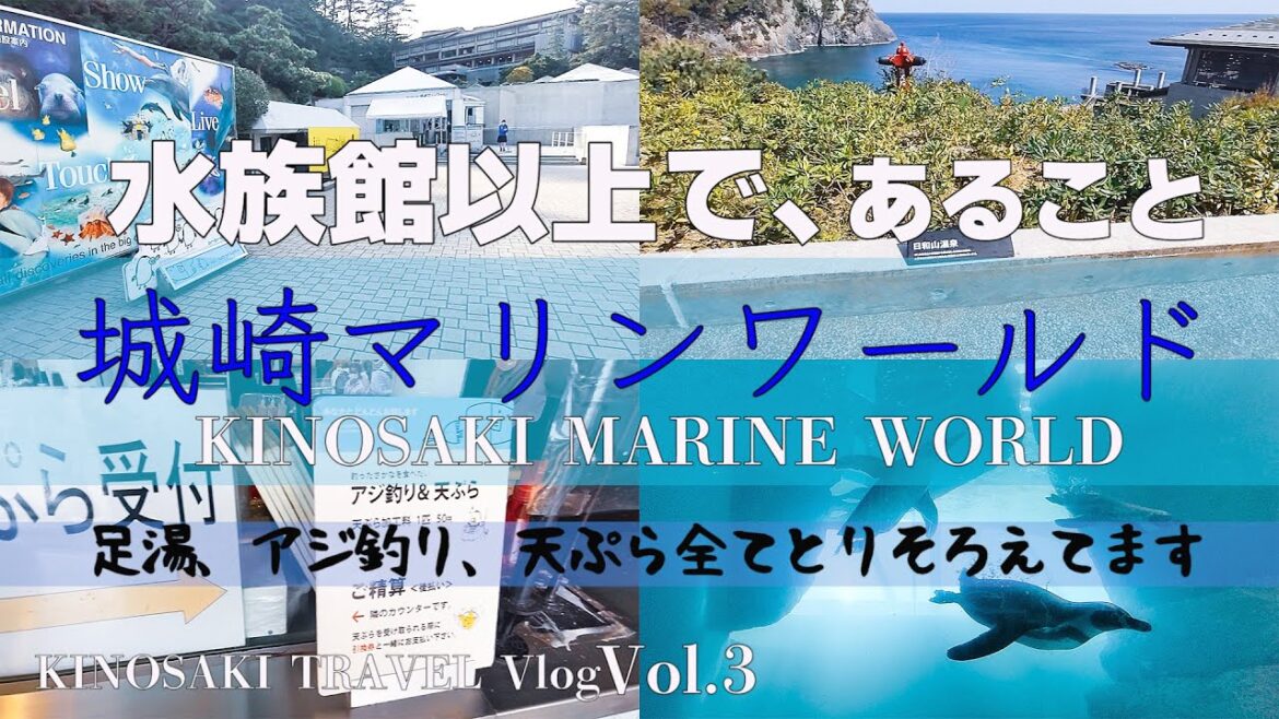 【城崎マリンワールド】足湯、アジ釣り、アジの天ぷら全て取り揃えました。ファミリーにもアラフィフにも非常に楽しい水族館以上であることを目指す城崎マリンワールドに行ってきました。城崎温泉Vlog VOL3