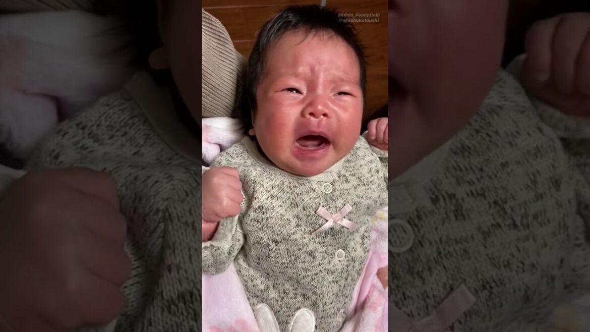 【子育てママ必見】泣いてる赤ちゃんに反町隆史のPOISONを聴かせると泣き止む説を生後1ケ月の娘に試してみた 【Ultimate Lullaby For Babies To Go To Sleep】 【子育てママ必見】泣いてる赤ちゃんに反町隆史のPOISONを聴かせると泣き止む説を生後1ケ月の娘に試してみた 【Ultimate Lullaby For Babies To Go To Sleep】