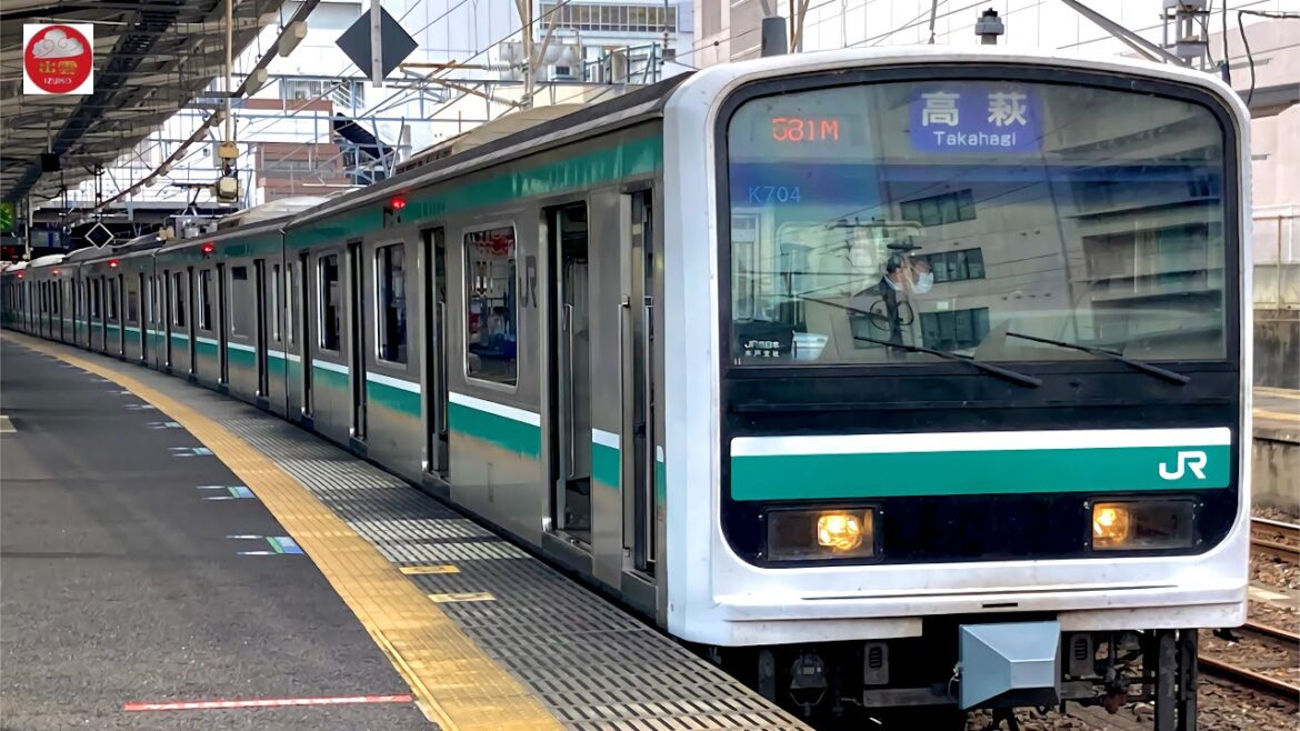 【少数派】JR東日本E501系 常磐線水戸駅発車 2022.10.23 / JR East Series E501 Mito Station departure October 23, 2022