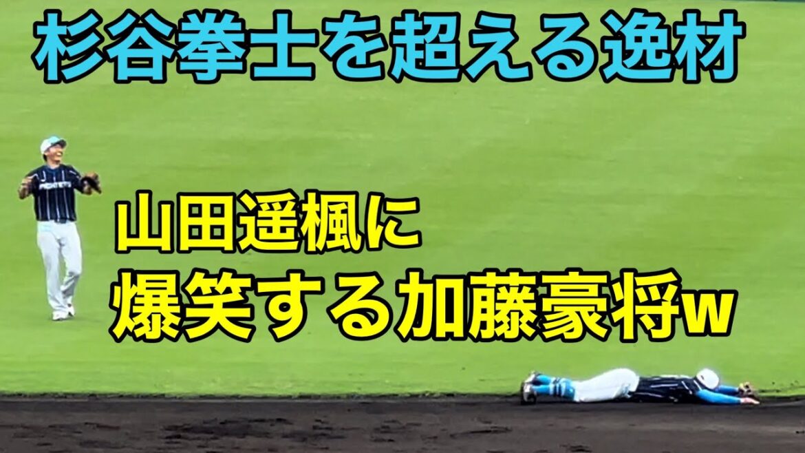【日本ハム】山田遥楓に爆笑する加藤豪将/北海道日本ハムファイターズ/新庄剛志監督