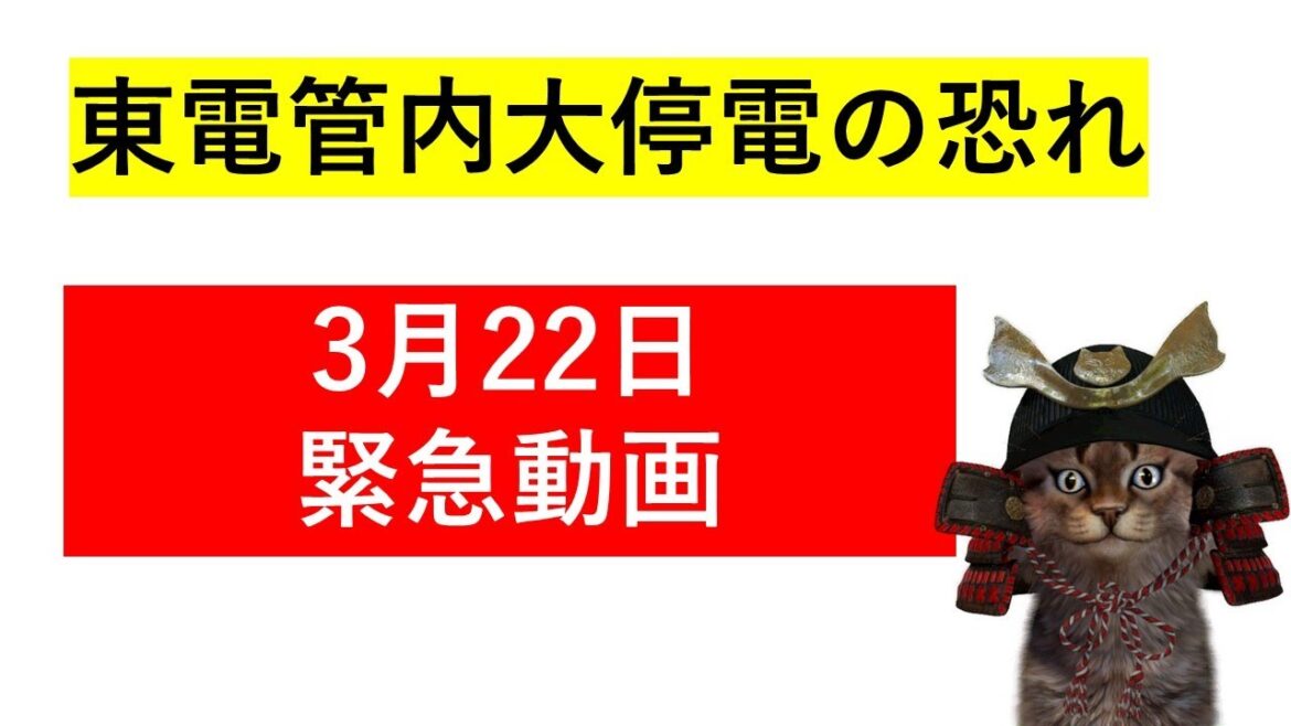 【緊急動画】本日2022年3月22日 東京電力管内にて計画停電・ブラックアウト(大停電)の恐れあり。交通機関等が混乱する可能性もあります。 【緊急動画】本日2022年3月22日 東京電力管内にて計画停電・ブラックアウト(大停電)の恐れあり。交通機関等が混乱する可能性もあります。