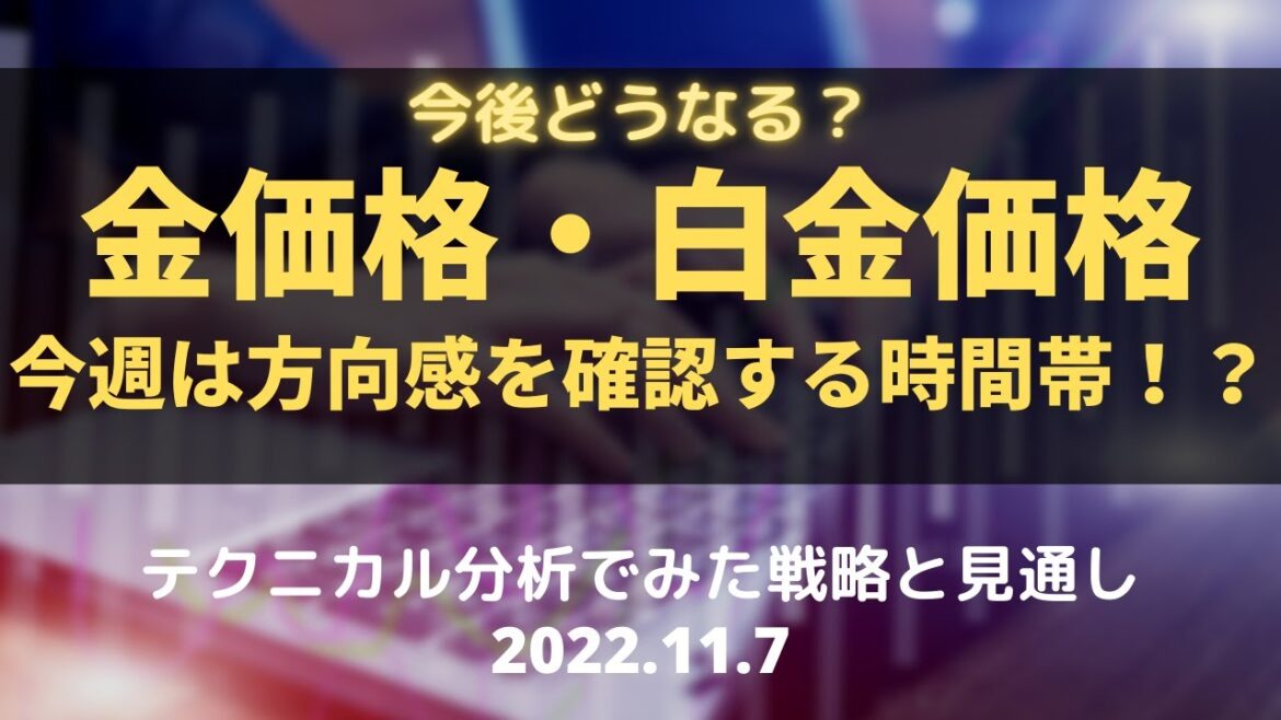【金価格・白金価格】今後どうなる？今週は方向感を確認する時間帯！？ テクニカル分析でみた見通しと戦略 11月7日（月）