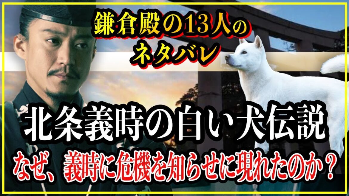 【鎌倉殿の13人】北条義時の白い犬伝説！なぜ、義時に危機を知らせに現れたのか？【歴史雑学】