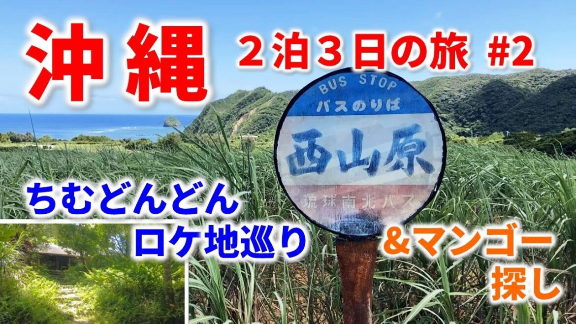 【2022.7/沖縄2泊3日#2】ちむどんどんのロケ地を巡る沖縄北部やんばるの旅（沖縄旅行）