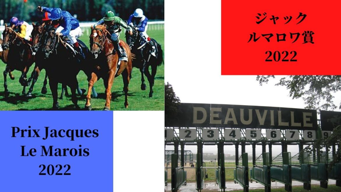 【3分で血統を学ぶ！】ジャックルマロワ賞2022を分析してみるぞ【馬よ聞いてくれ 第24回】