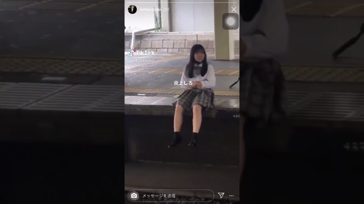 【TikTok】西武鉄道　小川駅で電車の運行妨害をする女子高生【日本体育大学桜華高校】