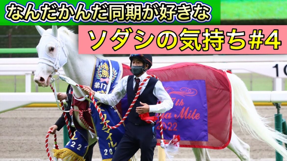 なんだかんだ同期が好きな ソダシの気持ち 第4弾【馬の気持ちシリーズ】 ヴィクトリアM編【競馬】パイセンの競馬チャンネル