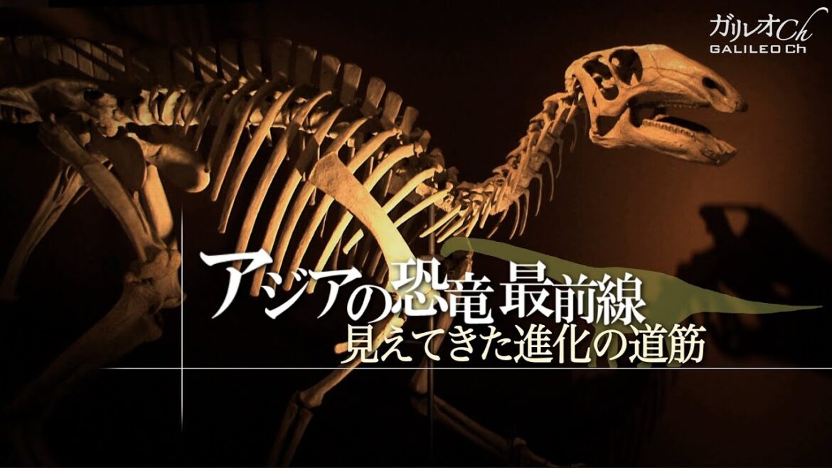 アジアの恐竜最前線　見えてきた進化の道筋 | ガリレオX（2013年）第58回